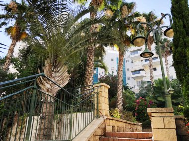 Konut ve Rishon Le Zion yeşil bitkiler ile çevrili