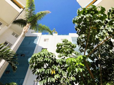 Rishon Le Zion, İsrail - 27 Haziran 2018: Ev ve palmiye ağaçları Rishon Le Zion, İsrail