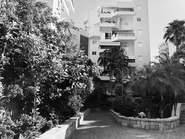 Edificios residenciales y rodeados de plantas verdes en Rishon Le Zion —  Fotos de Stock