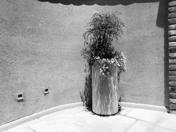 Une colonne de fleurs devant un mur de pierre — Photo
