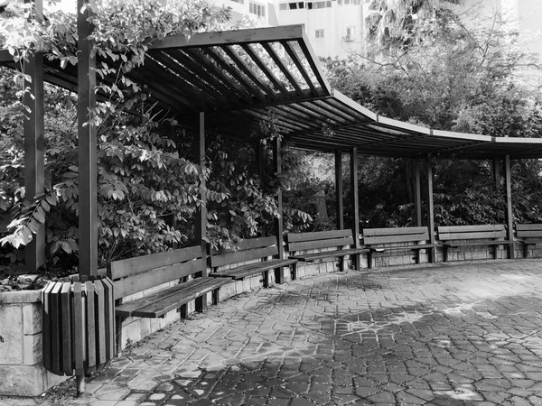 Edifícios residenciais e nos bancos do pátio rodeado de plantas verdes em Rishon Le Zion — Fotografia de Stock