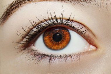 Güzel bir anlayışlı kadın bakışı. Yakın çekim.