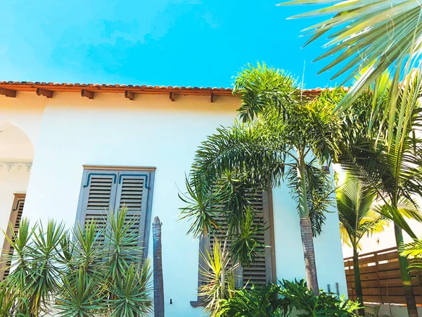 Private modern house and palm trees on the streets in Rishon Le Zion, Israel — Stock Photo, Image