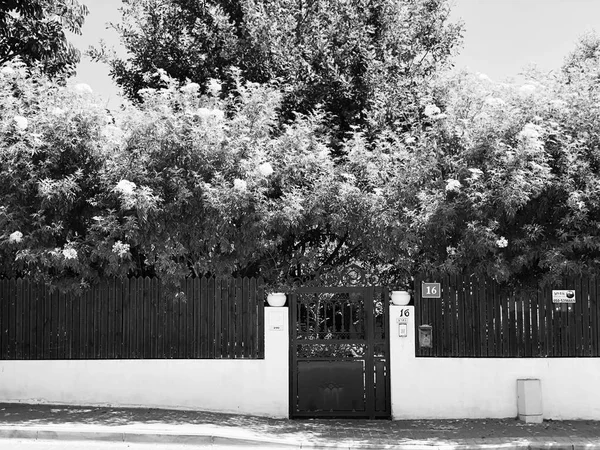 Rishon Zion Israel Junio 2018 Cerca Puerta Entrada Con Plantas — Foto de Stock