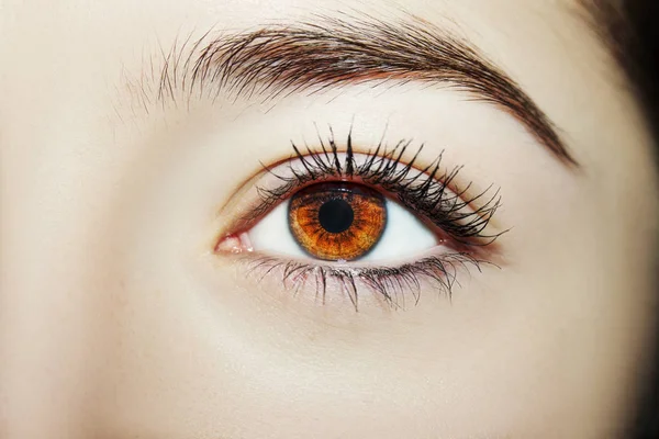Krásný pronikavý pohled ženského oka. Zavřít snímek — Stock fotografie