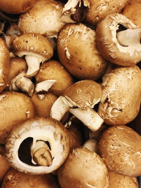 arka plan bir yığın ham mantar