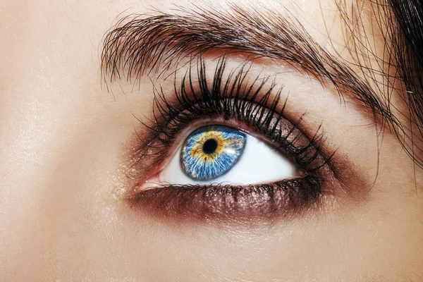 A beautiful insightful look woman's eye. Close up shot — Stock Photo, Image