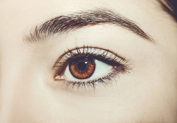 A beautiful insightful look woman's eye. Close up shot — Stock Photo, Image