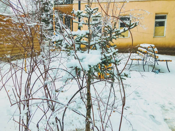 Nieve congelada en una ramita de un árbol. Nieve en la calle de la ciudad. Bancos del parque cubiertos de nieve. El comienzo del invierno en Bakuriani — Foto de Stock