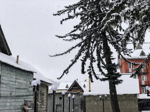 Meio-dia de inverno nevado. Neve coberto de árvores, os telhados de pequenas casas no quintal. Estância de esqui de montanha Bakuriani — Fotografia de Stock