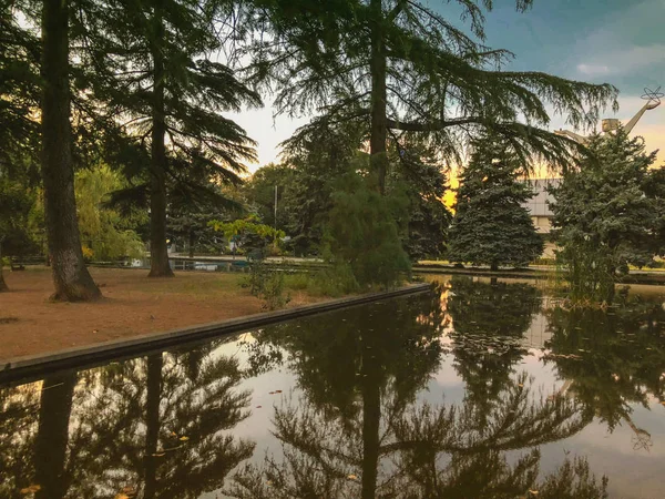 Parkta sonbahar, gölün kenarında ağaçlar, göldeki ağaçların yansıması. Düşen yapraklar. Sonbaharın renkleri