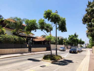 Rishon Le Zion, İsrail - 27 Haziran 2018: Sokağın tam ağaçların Rishon Le Zion, İsrail