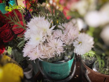 Beyaz çiçekler ve güller güneşli bir günde. Yakın çekim vurdu