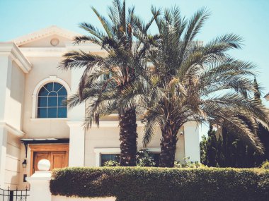  Özel modern ev ve palmiye ağaçları Rishon Le Zion, İsrail