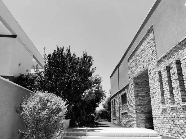 Casa moderna privada y árboles en Rishon Le Zion, Israel —  Fotos de Stock