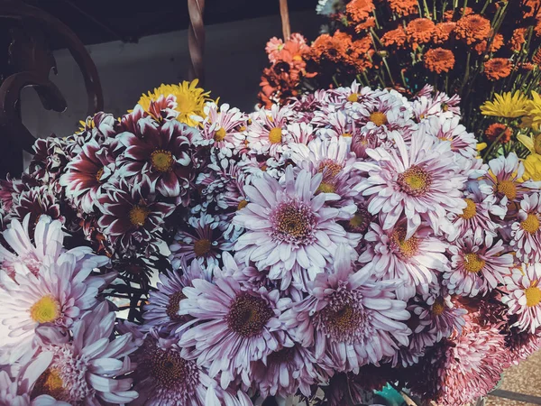 Různobarevné květy za slunečného dne venku. Close-up shot — Stock fotografie