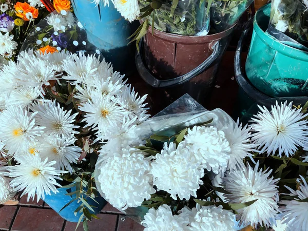 Bílé květy za slunečného dne venku. Close-up shot — Stock fotografie