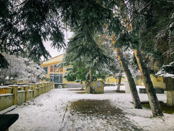 A neve cobriu árvores na queda de neve. Meio-dia de inverno na estância de esqui de montanha Bakuriani — Fotografia de Stock