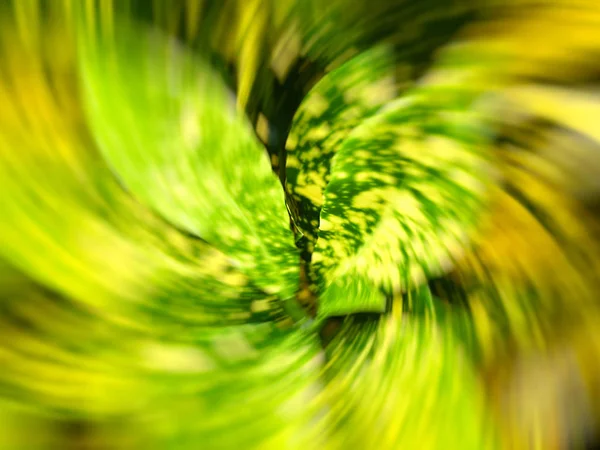 Dísznövények nő, a városi parkok közelében haza. Motion blur effekt — Stock Fotó