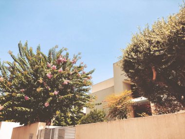 Beyaz çit ve Rishon Le Zion bitkilerde. Atış kapatın.