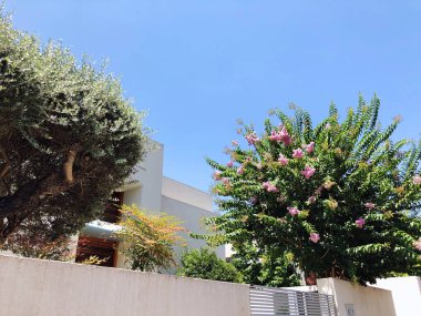 Beyaz çit ve Rishon Le Zion bitkilerde. Atış kapatın