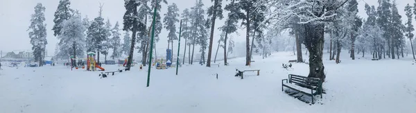 Snowfall. Trees in the snow. Children walk in the snow. Bench in the snow under a tree. Mountain ski resort Bakuriani — Stock Photo, Image