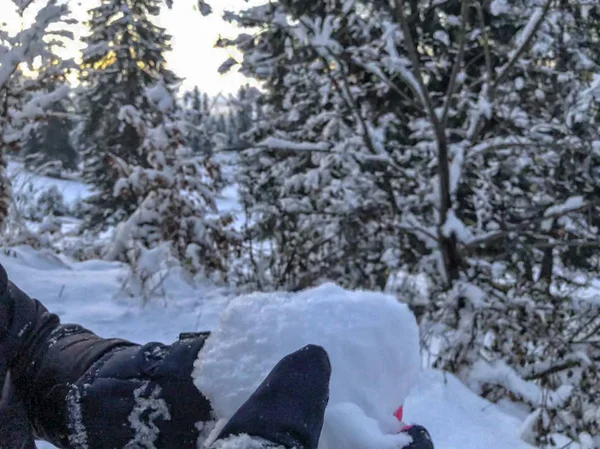 아이 눈 뭉치를 잡으십시오. 눈 산에 나무와 가문비나무 겨울을 커버. 클로즈업 샷 — 스톡 사진
