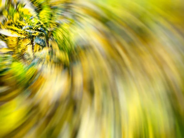 Plantas ornamentais crescem em parques urbanos perto de casa. Efeito de desfoque de movimento — Fotografia de Stock