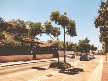 Rishon Le Zion, İsrail - 27 Haziran 2018: Sokağın tam ağaçların Rishon Le Zion, İsrail