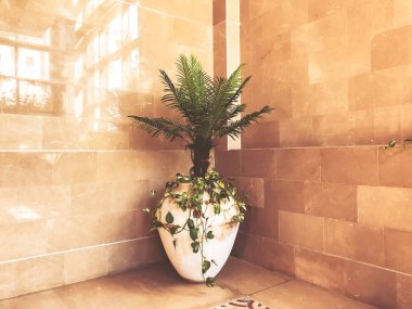 Dekoratif kapalı çiçek ayakta odasında yerde.