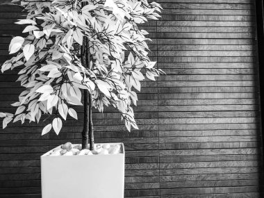 Dekoratif kapalı çiçek ayakta odasında yerde.