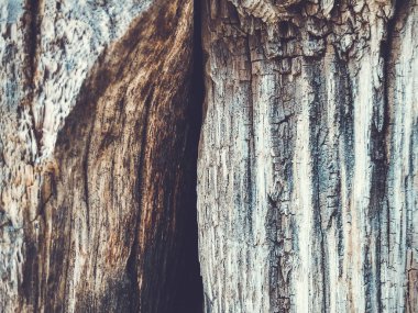 Ahşap çit yapısı. Yakın görünümünden vurdu