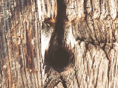 Ahşap çit yapısı. Yakın görünümünden vurdu