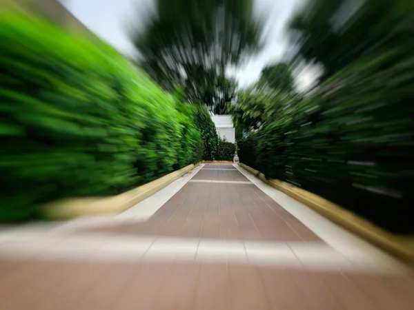 Dekoratív bokrok a város fekvő parkban. Motion blur effekt — Stock Fotó