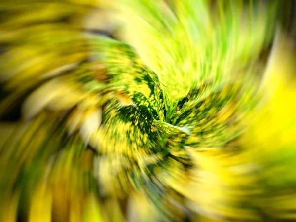 Dísznövények nő, a városi parkok közelében haza. Motion blur effekt — Stock Fotó