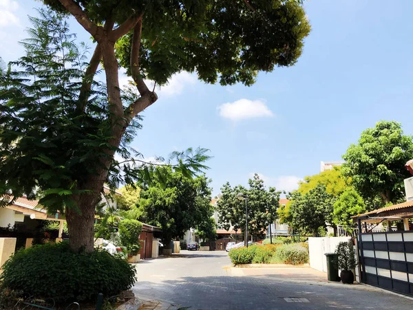 RISHON LE ZION, ISRAEL - 9 de agosto de 2018: La calle está llena de árboles en Rishon Le Zion, Israel — Foto de Stock