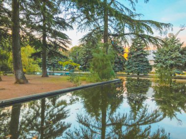 Parkta sonbahar, gölün kenarında ağaçlar, göldeki ağaçların yansıması. Düşen yapraklar. Sonbaharın renkleri