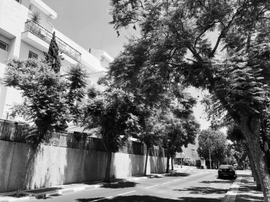 Rishon Le Zion, İsrail - 9 Ağustos 2018: özel ev ve ağaçlar Rishon Le Zion, İsrail