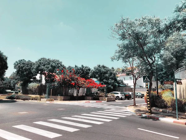 RISHON LE ZION, ISRAEL - 9 de agosto de 2018: A rua em Rishon Le Zion, Israel — Fotografia de Stock