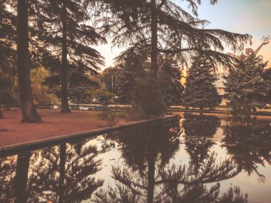 Parkta sonbahar, gölün kenarında ağaçlar, göldeki ağaçların yansıması. Düşen yapraklar. Sonbaharın renkleri