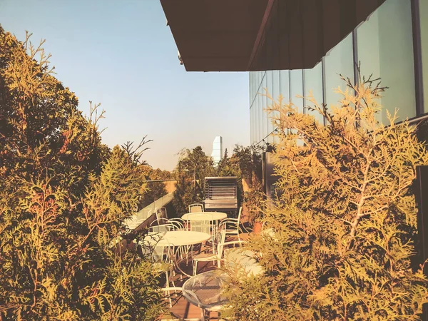 Beautiful view of the city from the modern shopping mall "Galleria" in Tbilisi, Georgia. Deciduous trees on the background of blue sky. — Stock Photo, Image