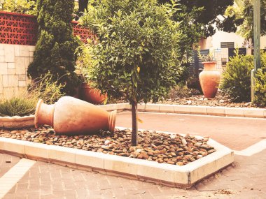 Seramik ile yeşil bitkiler ile çevrili sokak dışında Rishon Le Zion testilerden