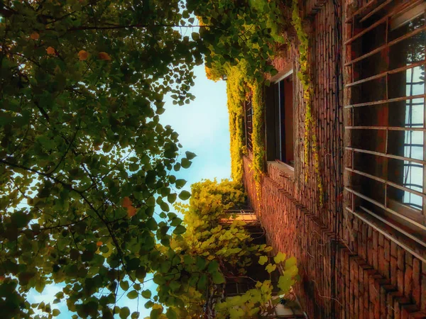 크고 오래 된 벽돌 하늘에 대 한 녹색 나무 옆 건물. 부분적으로 잎이 건물 — 스톡 사진