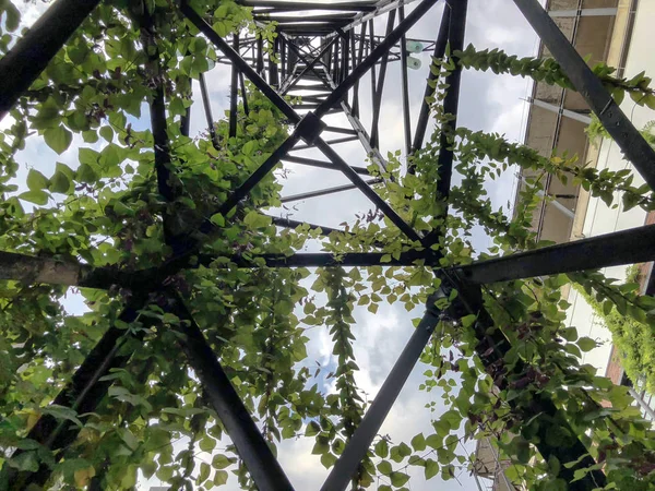 Eco-style in the modern courtyard with beautiful views. Leafy metal construction