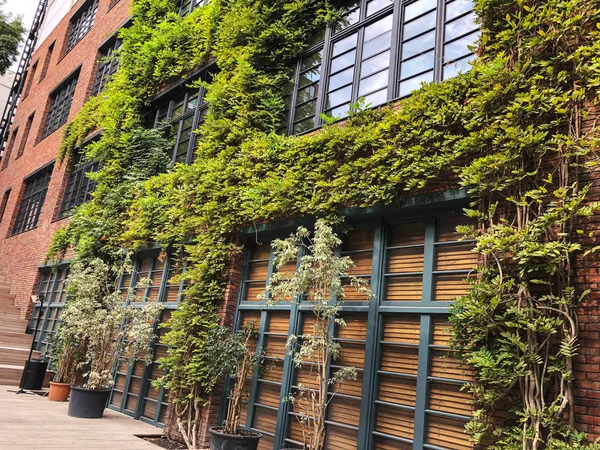 Eco-style in the modern courtyard with beautiful views, deciduous decor on a brick building