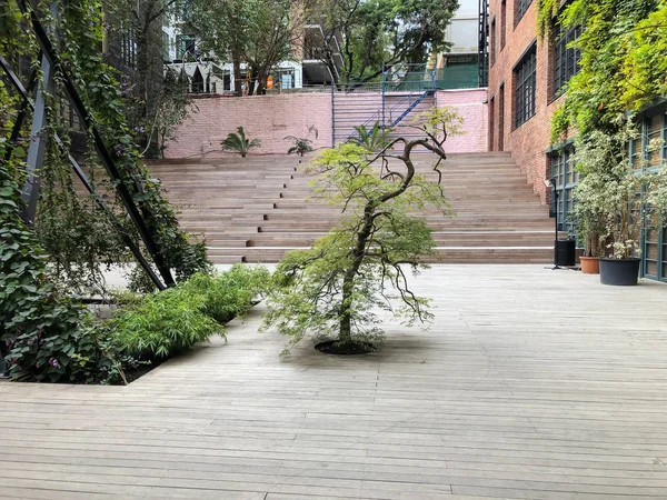 Eco-style in the modern courtyard with beautiful views, decorative tree against the stairs