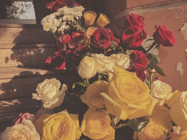 Růže, různobarevné květy za slunečného dne venku. Close-up shot — Stock fotografie