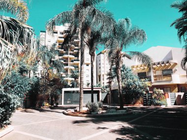 Rishon Le Zion, İsrail-4 Aralık 2018: Konut bina ve palmiye ağaçları Rishon Le Zion, İsrail