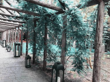 Eko-tarzı güzel manzaralı modern avlu, ahşap bir yapı ile sokak