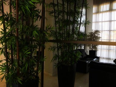 Süs Bitkileri konut binada büyümek. Görünümü kapatın